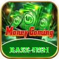 bass fish Pro PK v5.1.0
