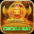 cricket bat Earn Supreme v5.4.3