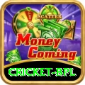 cricket bpl Game Deluxe v5.5.3