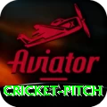 cricket pitch APK Prime v5.5.0