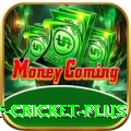 god of cricket - Slots Premium