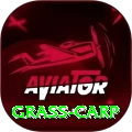 grass carp Supreme v5.6.4