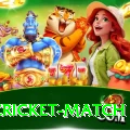 india cricket match Premium v1.9.2