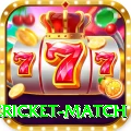 international cricket match Game Premium v1.6.2