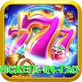 most wickets in t20 Casino Pro v3.3.6