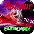 pakrummy App Gold v2.1.5
