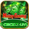 smart cricket live Pakistan Master v5.5.1
