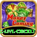 smartcric live cricket Prime - Casino & Slots