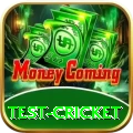 test cricket Ultimate 2024