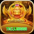 tiger888 App Elite v3.3.5