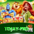 tojay Mega Slots